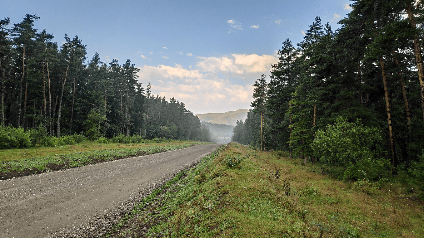 Воспоминания о Цихисджвари