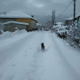 Winter in Tsihisjwari