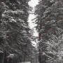 Зима в Цихисджвари