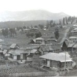 Первые годы становления села Цихисджвари